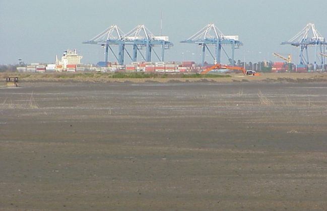 Wando Berth