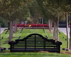 Landscape Architecture