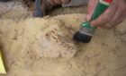 Site Dig Saluda