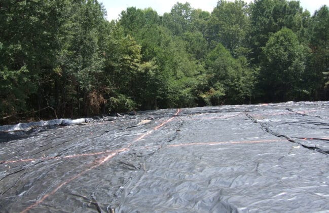 Post Treatment Cover and Sampling