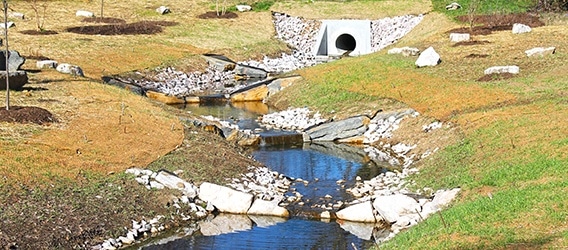 Banks_Stream_Restoration