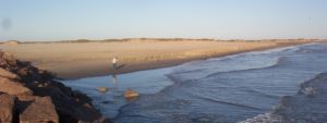 coastal-coast