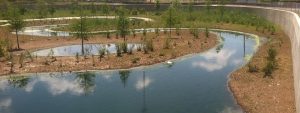 Environmental-Services