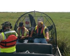 Specialized Environmental and Permitting
