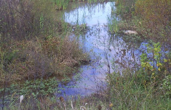 Stream Restoration_Civil-WaterResources