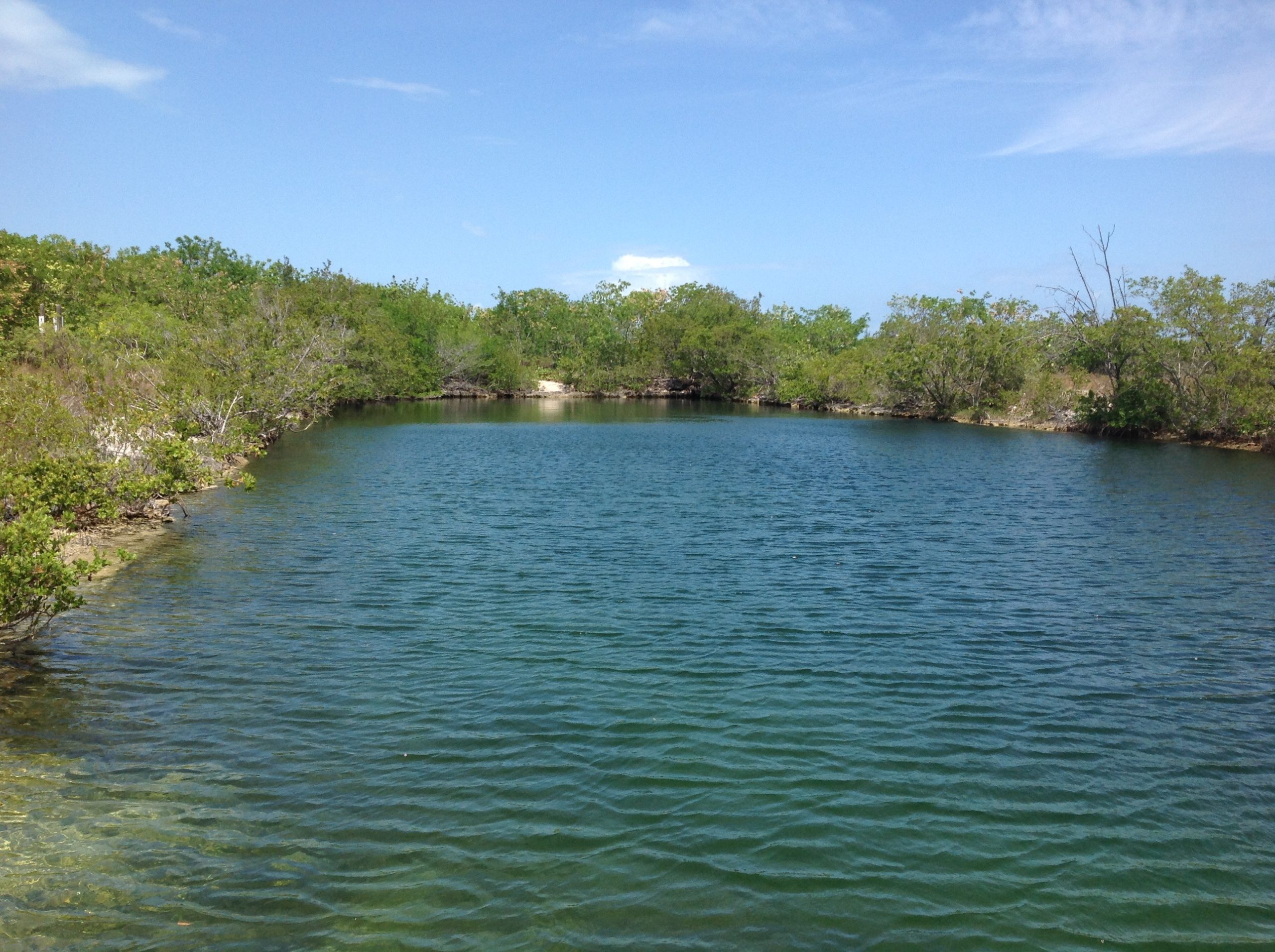 Big Pine Key Swimming Hole S&ME