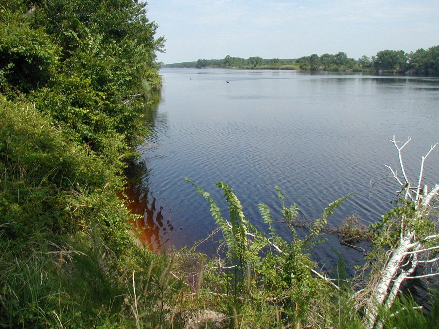 A Look Into PFAS What You Should Know S ME