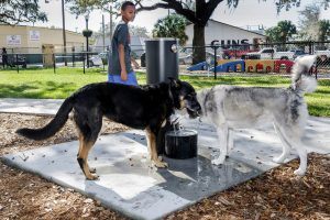 dog park