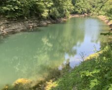 Abandoned Mine Reclamation