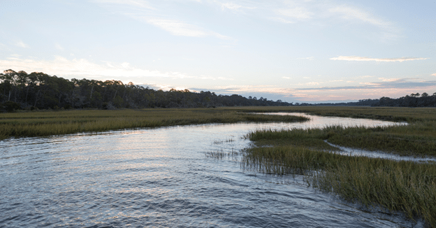 lowcountry2