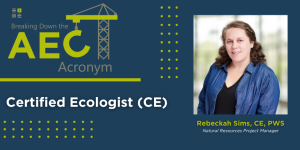 Breaking Down the AEC Acronym graphic