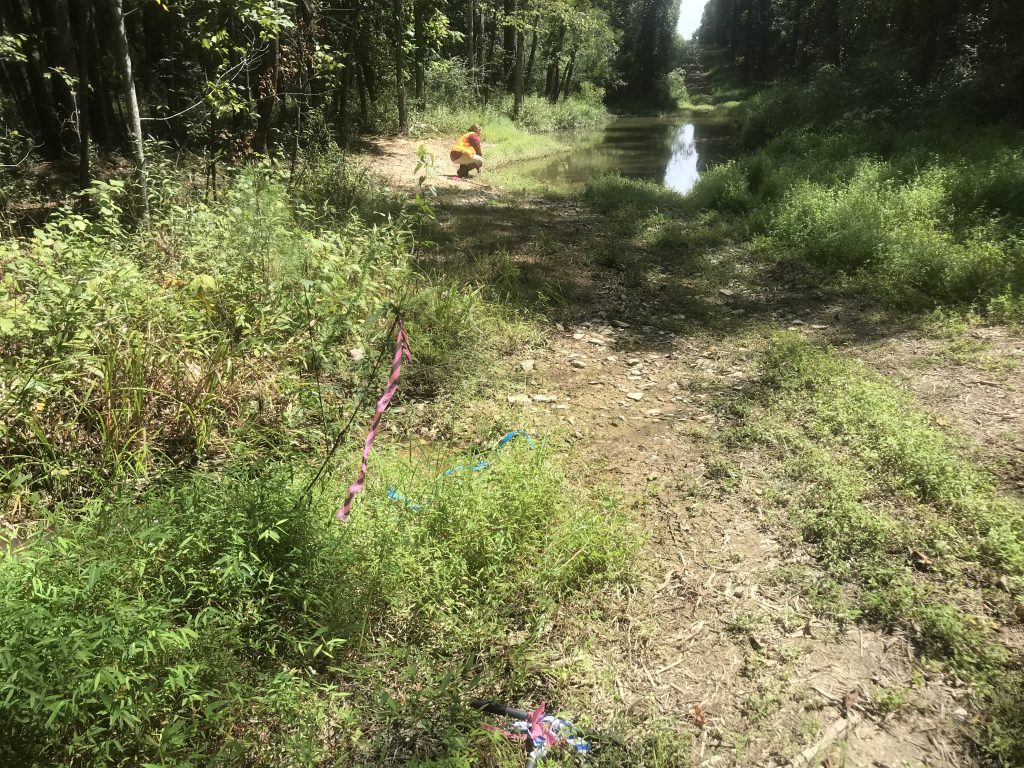 Jurisdictional delineation of stream by Natural Resources Professional