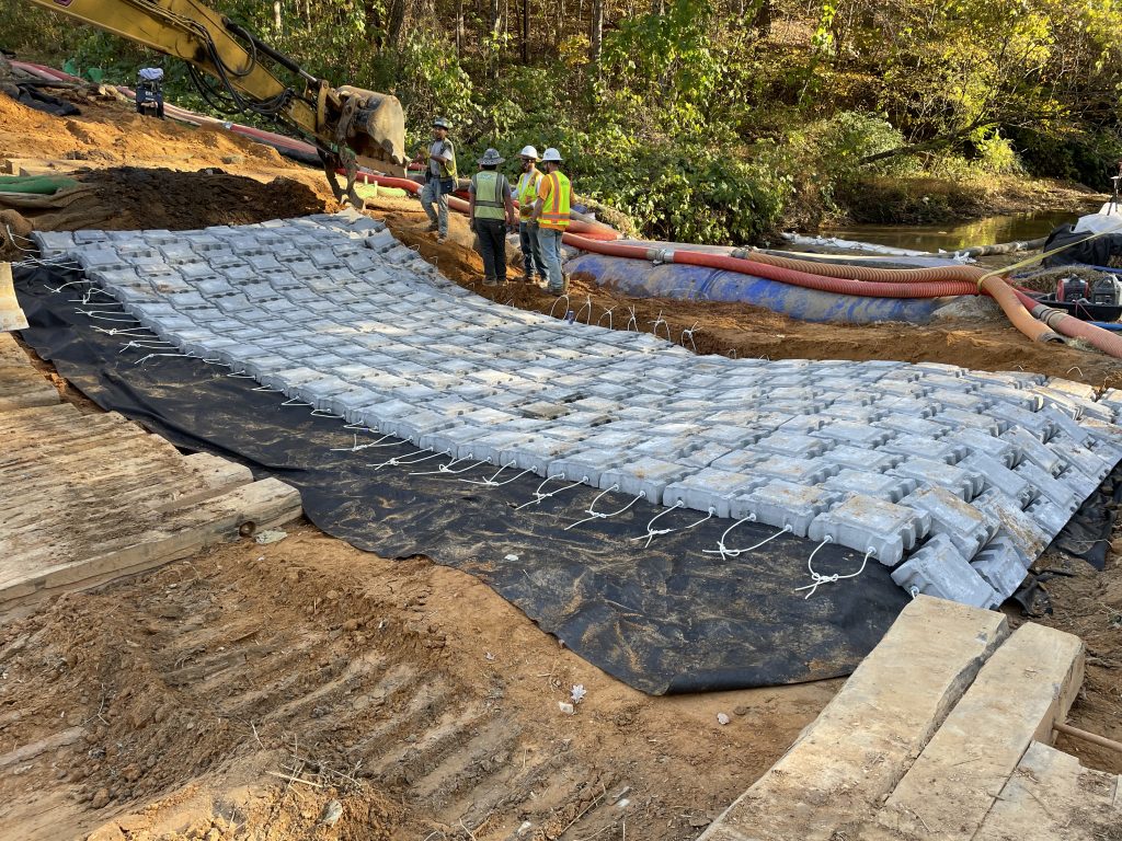 Certified ecologist provide recommendation to streambank restoration project