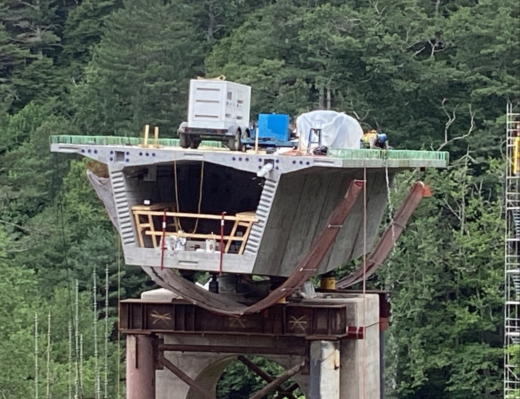 bridge replacement environmental survey