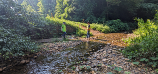 Stream restoration by certified ecologist for environmental project