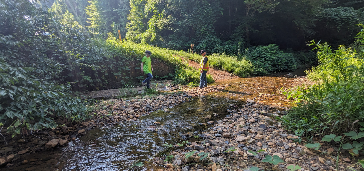 Stream restoration by certified ecologist for environmental project