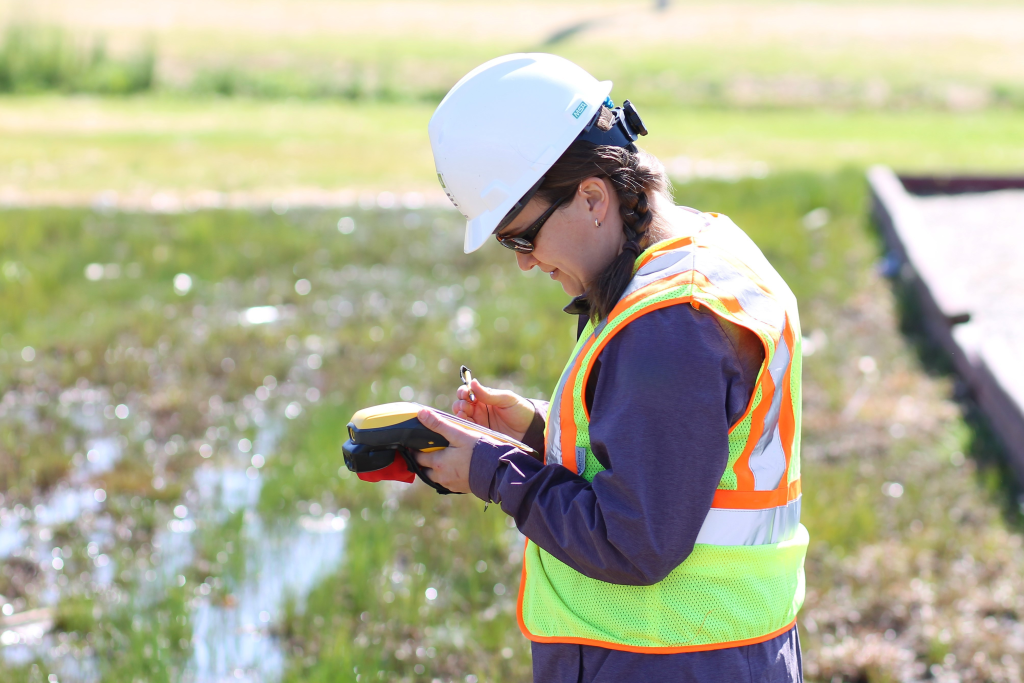 Natural resources professional performing wetland delineation