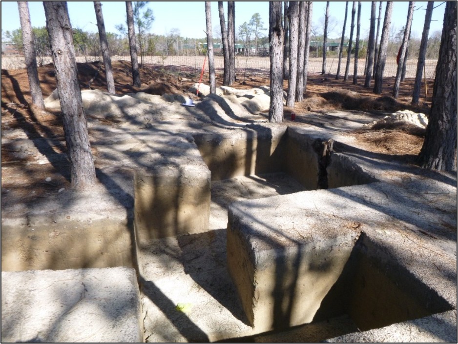 archaeological excavation