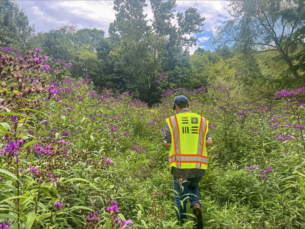 Environmental services for land sustainability