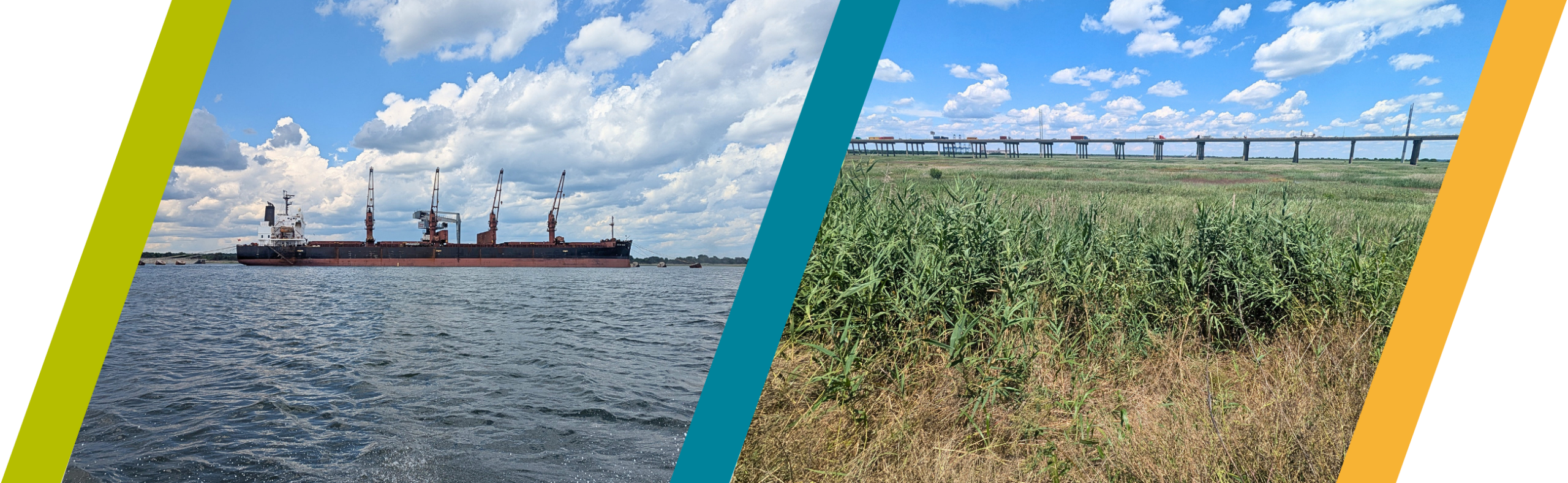 Graphic of Clouter Creek by Charleston Harbor