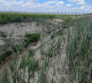 Bridge over Clouter Creek Dredge Material Island